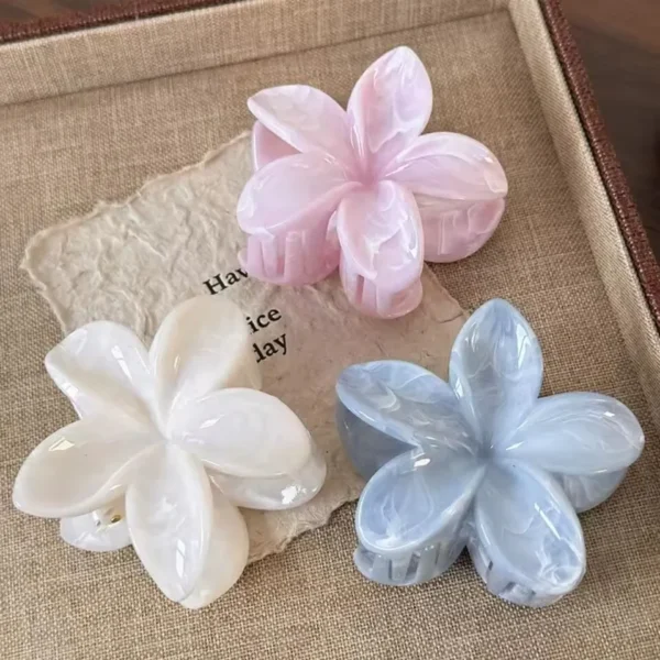Korean Hawaiian Gradient Flower Hair Claw Clip For Women Girl Fashion Plastic Non Slip Hold Hairpin Barrette Hair Accessories - Image 2