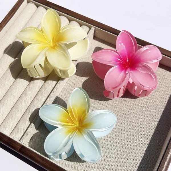 1/2/3 Pcs Hawaiian Gradient Flower Hair Claw Clip Women Fashion Large Hair Clip Girls Hairpin Barrettes Bohemia Hair Accessories - Image 13